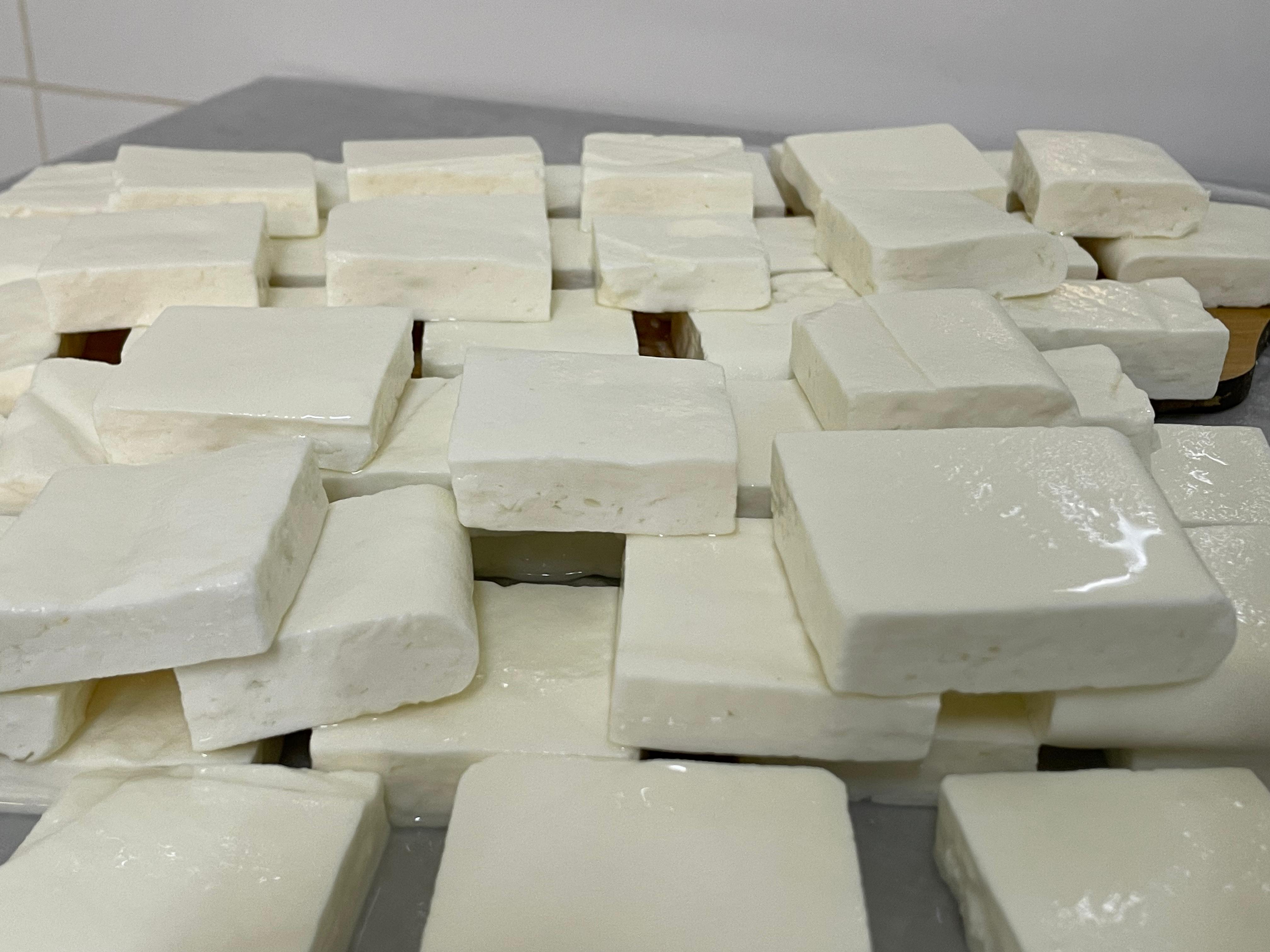 جبنة مبسترة للمعجنات