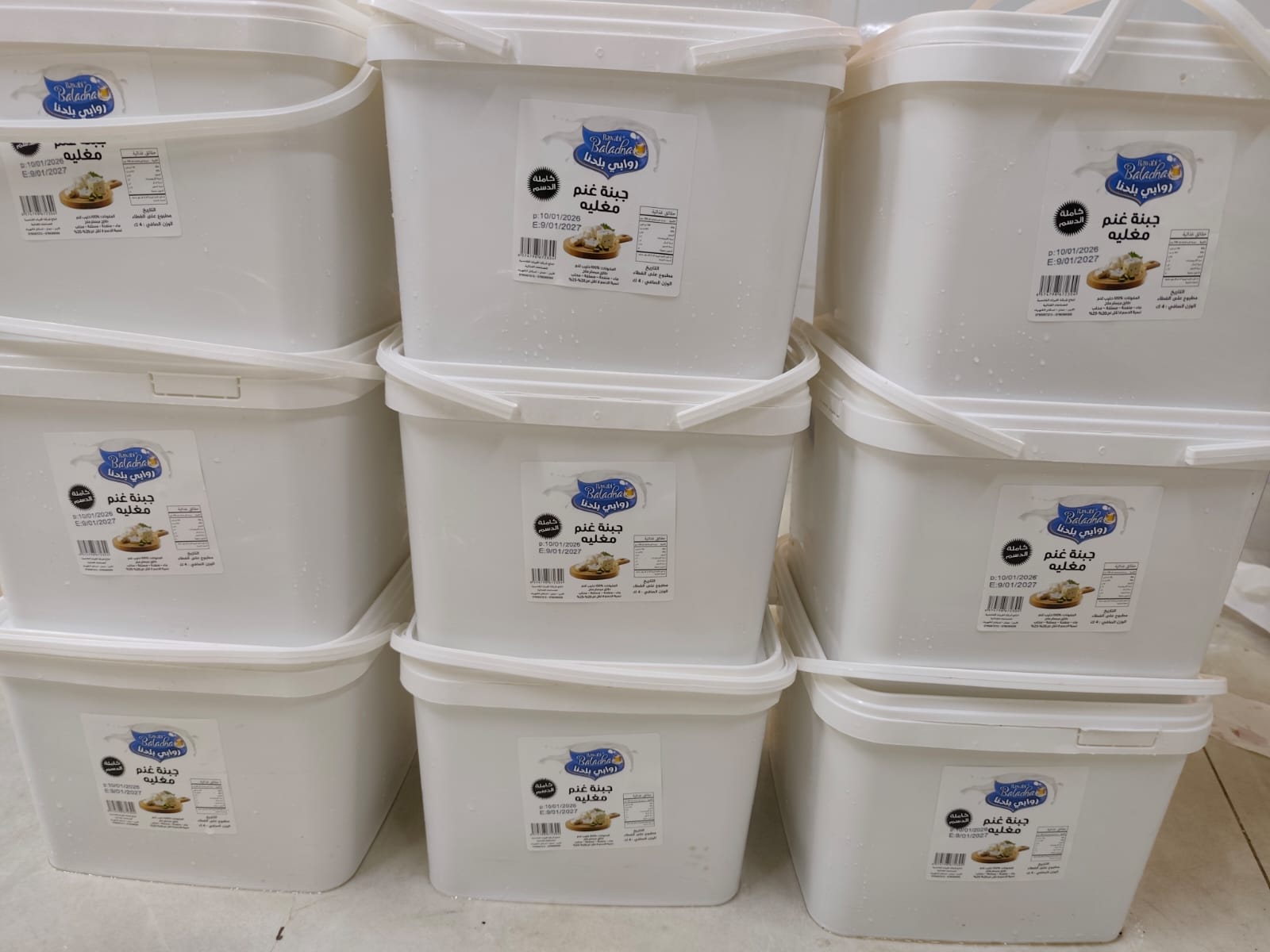 جبنة غنم مغلية - 2